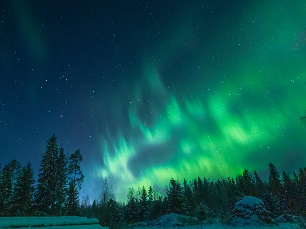 Grüne Nordlichter über verschneiten Bäumen in der Nacht